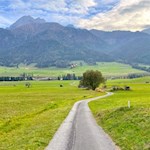 Sanfte Wanderung um Niederdorf