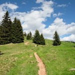 Durch Weidewiesen zur Vöraner Alm