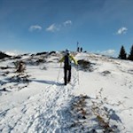 Wenige-Meter-hinter-dem-Waldsaum-erblickt-man-das-Gipfelkreuz