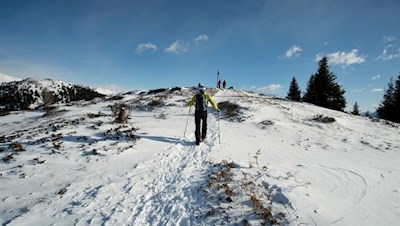 Wenige Meter hinter dem Waldsaum erblickt man das Gipfelkreuz