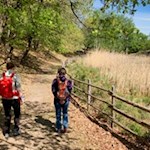 Das Biotop Castelfeder birgt auch einige Feuchtgebiete