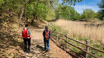Nel Biotopo Castelfeder si trovano anche alcune zone umide