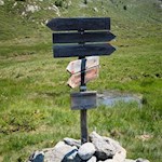 Die Wanderung zum Steinerholm ist gut ausgeschildert