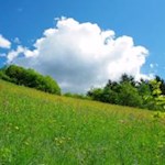 Saftige Maiwiese am Osthang des Plose-Mittelgebirges