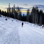 Durch den Wald zurück zum Nigerpass