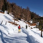 Abfahrt von der Kreuzwiesenalm