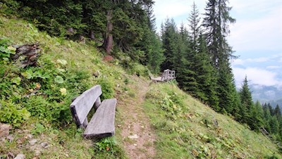 Aussichtsbank auf dem Almsteig