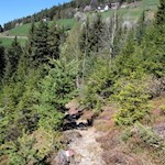 Ab und an lichtet sich der Wald