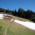 Kleine Lichtung auf dem Weg zum Freienbühel