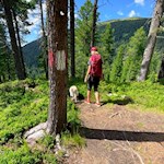 Wandern mit Hund zur Pecolhütte