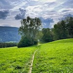 Der Stocknertalweg führt durch Wald und Wiesen