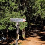 Der Weg zur Gönneralm ist bestens ausgeschildert