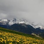 "Der alte Winter, in seiner Schwäche, zog sich in rauhe Berge zurück" (Goethe)