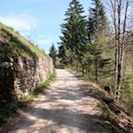 Im sanften Anstieg in Richtung Völlaner Badl