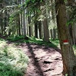 Die Wanderung zu den Wumblsalmen ist gut markiert