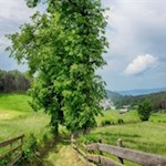 Auf dem Weg Nr. 10 in Richtung St. Michael