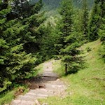 Von der Dusler Alm führt der Waldsteig zurück nach Zans