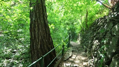 Der Weg wird von Trockenmauern und schattenspendenden Bäumen umsäumt