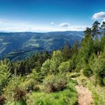 Auf dem Rückweg vom Hoferalpl erschließen sich traumverlorene Ausblicke