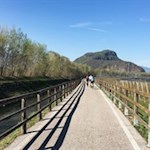 Zwischen Neumarkt und Auer