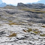 Die Gardenacia Hochfläche ähnelt bisweilen einer Mondlandschaft