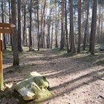 Abzweigung in Richtung Telfen