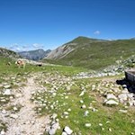 Hinter dem kleinen Holzbrunnen zweigt alsbald der Weg zur Gamsscharte ab
