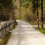 Il percorso da Dobbiaco al Lago di Dobbiaco n. 29