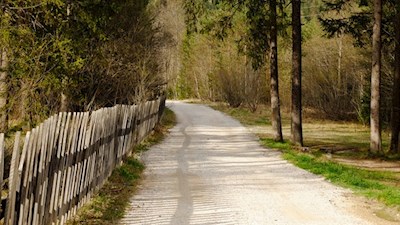 Il percorso da Dobbiaco al Lago di Dobbiaco n. 29