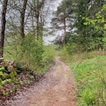 Sanft zieht sich der Weg den Waldrand entlang nach Pfalzen