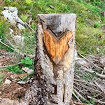 Ein etwas anderer Wegweiser zur Puntleider Seealm...