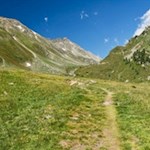 Durch grüne Bergwiesen zur Edelrauthütte