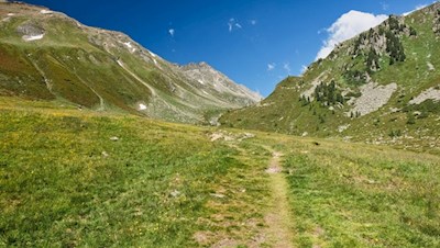 Durch grüne Bergwiesen zur Edelrauthütte