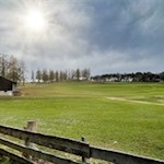 Durch lichte Lärchenhaine zurück nach Prösels