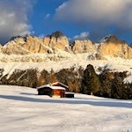 Rosengarten im Winter