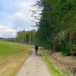 Entlang des Pfalzner Baches zurück zum Issinger Weiher