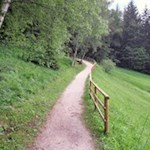 Auf dem Waldweg nach St. Jakob