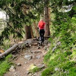 Im angenehmen Anstieg durch den Wald