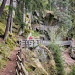 Durch den Wald zum Schloss Neuhaus