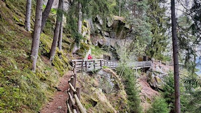 Durch den Wald zum Schloss Neuhaus