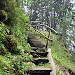 Der Almsteig führt teils über Holztreppen