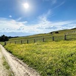 Leichte Wanderung auf der Rodenecker Alm