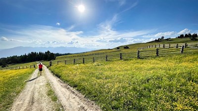 Leichte Wanderung auf der Rodenecker Alm