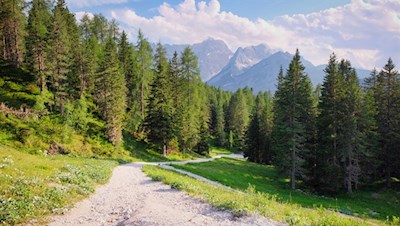 The trail meanders gently to the Rifugio Col de Varda mountain hut