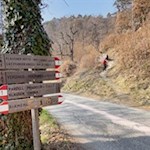 Der Birmehlweg quert mehrmals die Straße