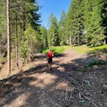 Durch den Wald zur Heinzen Alm