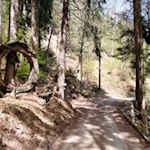 Mitten-im-Wald-steht-ein-altes-Mühlrad