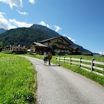 Zunächst führt die Wanderung zur Stumpfalm an einzelnen Häusern und Höfen vorbei