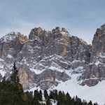 Aferer Geisler mit dem imposanten Tullen