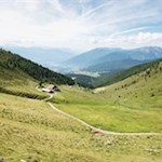 Von der Zasslerhütte schlängelt sich der breite Wanderweg Nr. 21 zum Ochsenboden